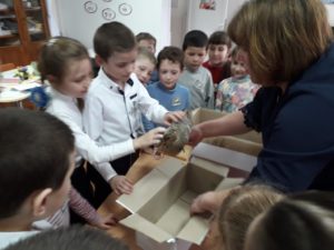 23.01.2019 Oră publică în grupa pregătitoare cu subiectul ”Păsări sedentare”, educator: Țațu Larisa