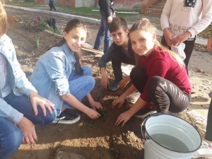 Pentru că ne pasă ne pasă… Astăzi, 08.11.2019, elevii instituției ghidați de diriginți au participat la acțiuni de salubrizare și amenajare a teritoriului aferent școlii. Bravo, elevi!!! Bravo, stimați diriginți!!!