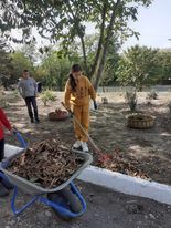 În perioada lunii octombrie 2023 s-au desfășurat diverse activități de solubrizare în cadrul Bilunarului ecologic conform planului elaborat. Elevii gimnaziului și diriginții cât și angajații auxiliari, au fost incadrați în mod util pentru prosperarea curții instituției. Le aducem mulțumiri tuturor pentru implicare.