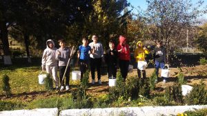 Activitate de plantare a plantelor (arbori, arbuști, tuia)